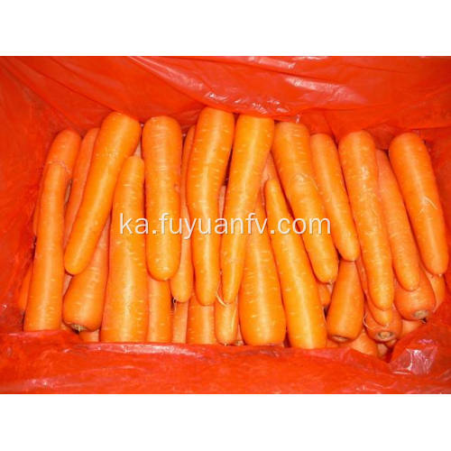 დიდი ზომის Shandong Carrot